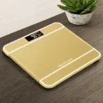 iScale Digital LCD Scale