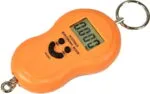 WH-A13 Capacity 1g upto 50kg - Image 2