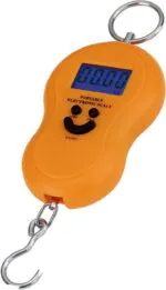 WH-A13 Capacity 1g upto 50kg - Image 3